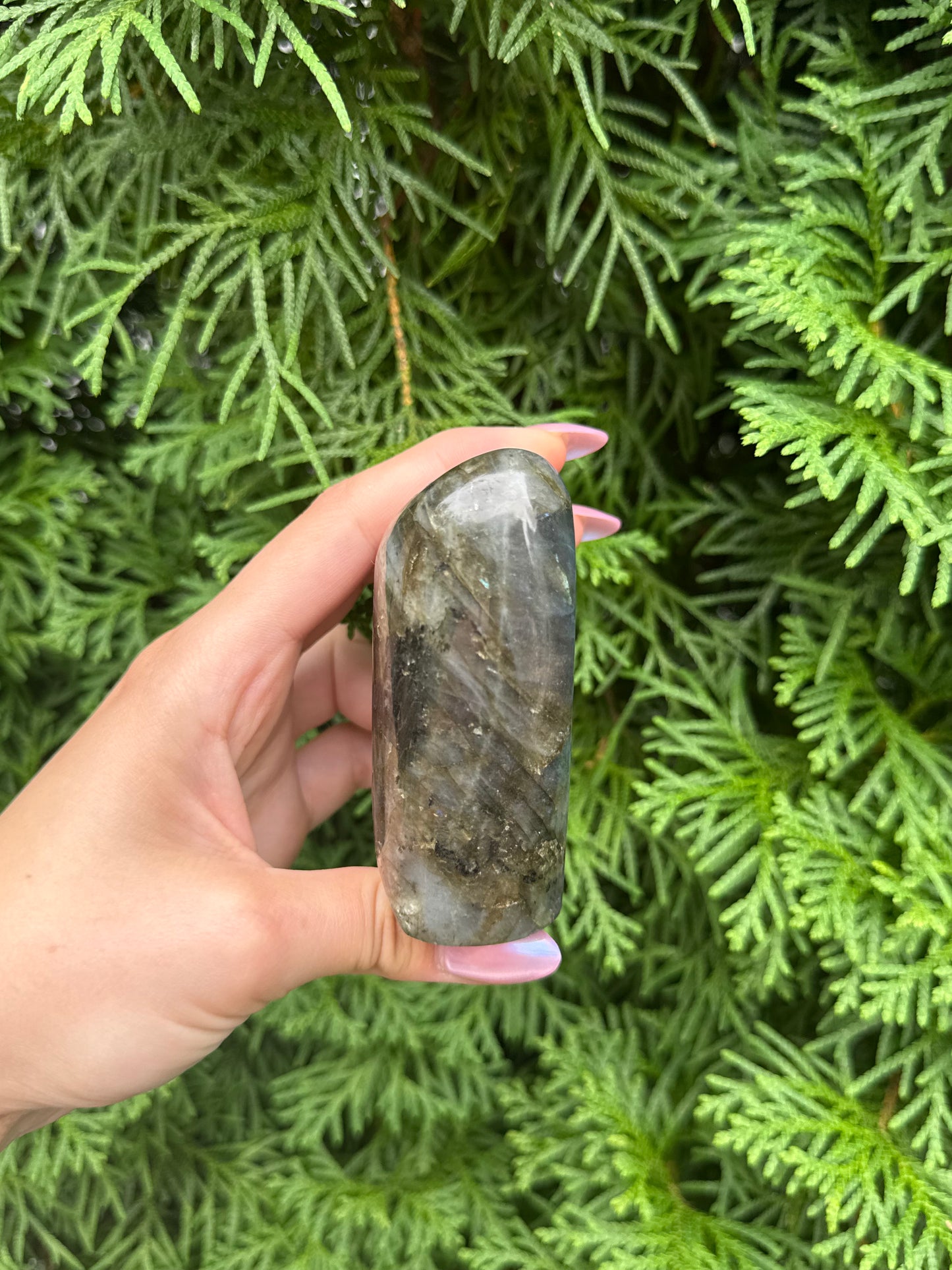 Labradorite Freeform (Opt 48)