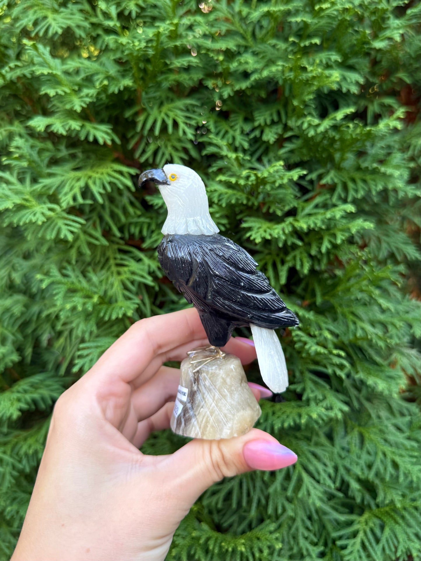 Eagle Bird Carving
