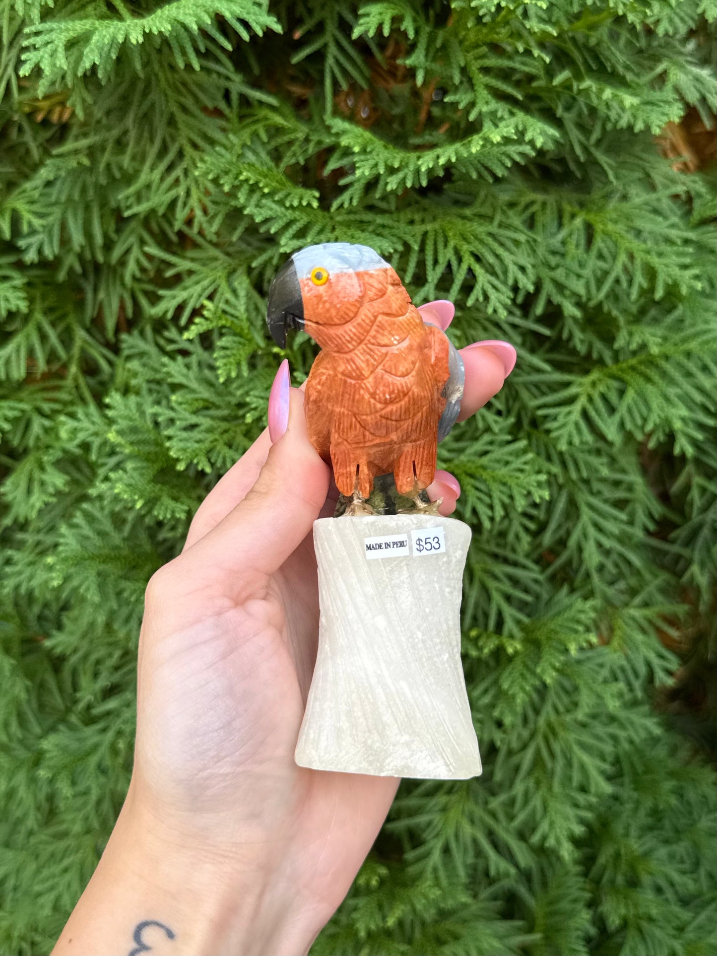 Parrot Bird Carving