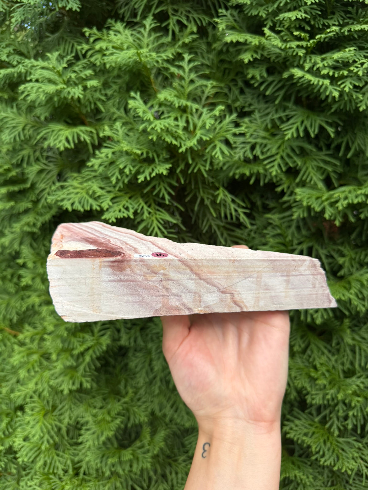 Rainbow Rhyolite Raw Slab (Opt 16)