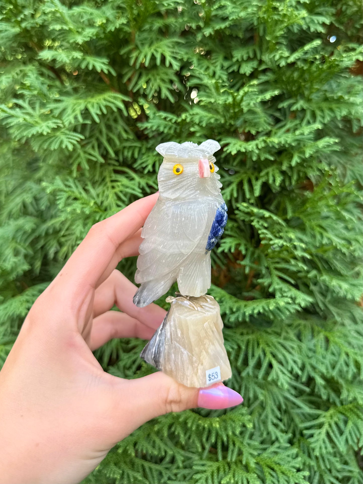 Owl Bird Carving
