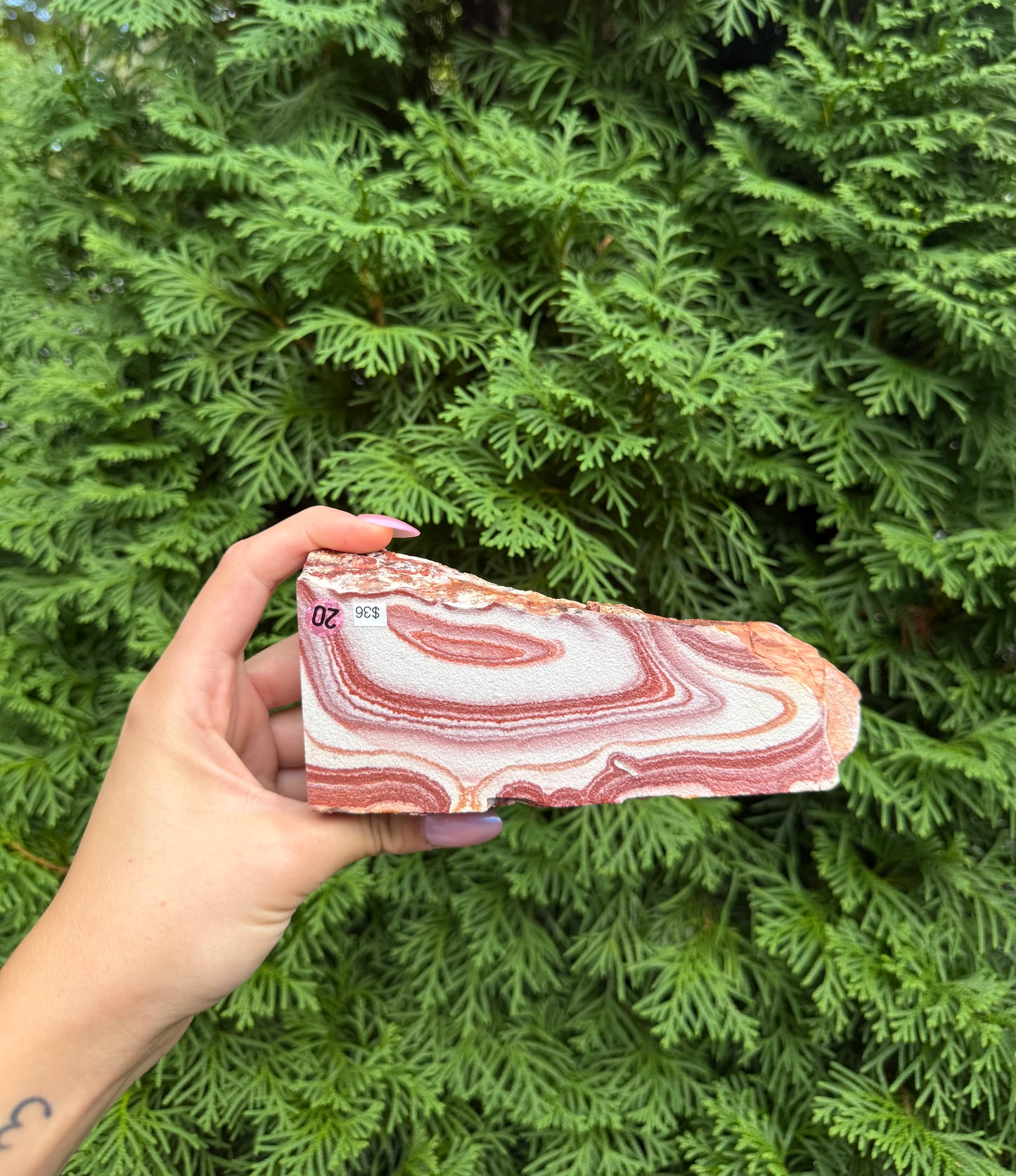 Rainbow Rhyolite Raw Slab (Opt 20)