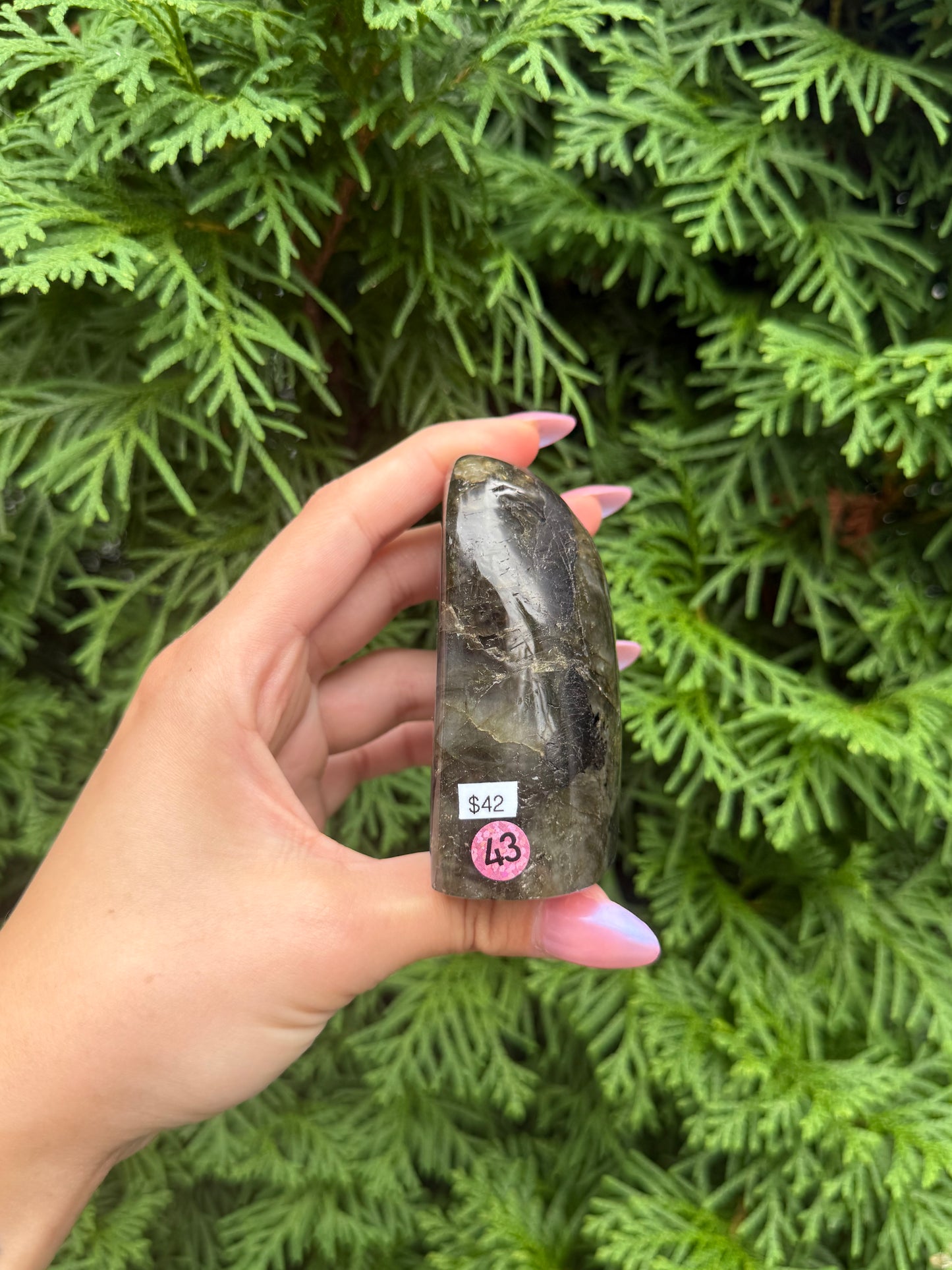 Labradorite Freeform (Opt 43)
