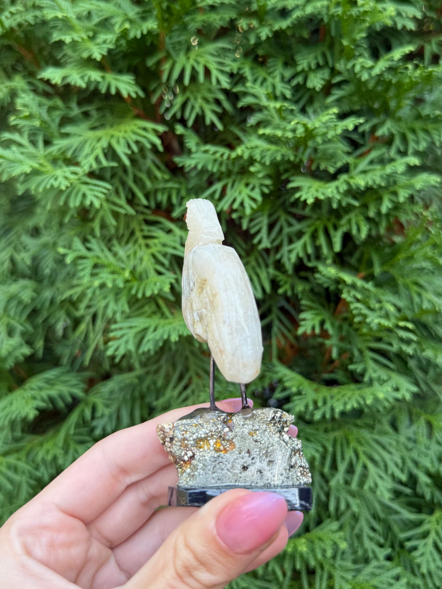 Egret Bird Carving