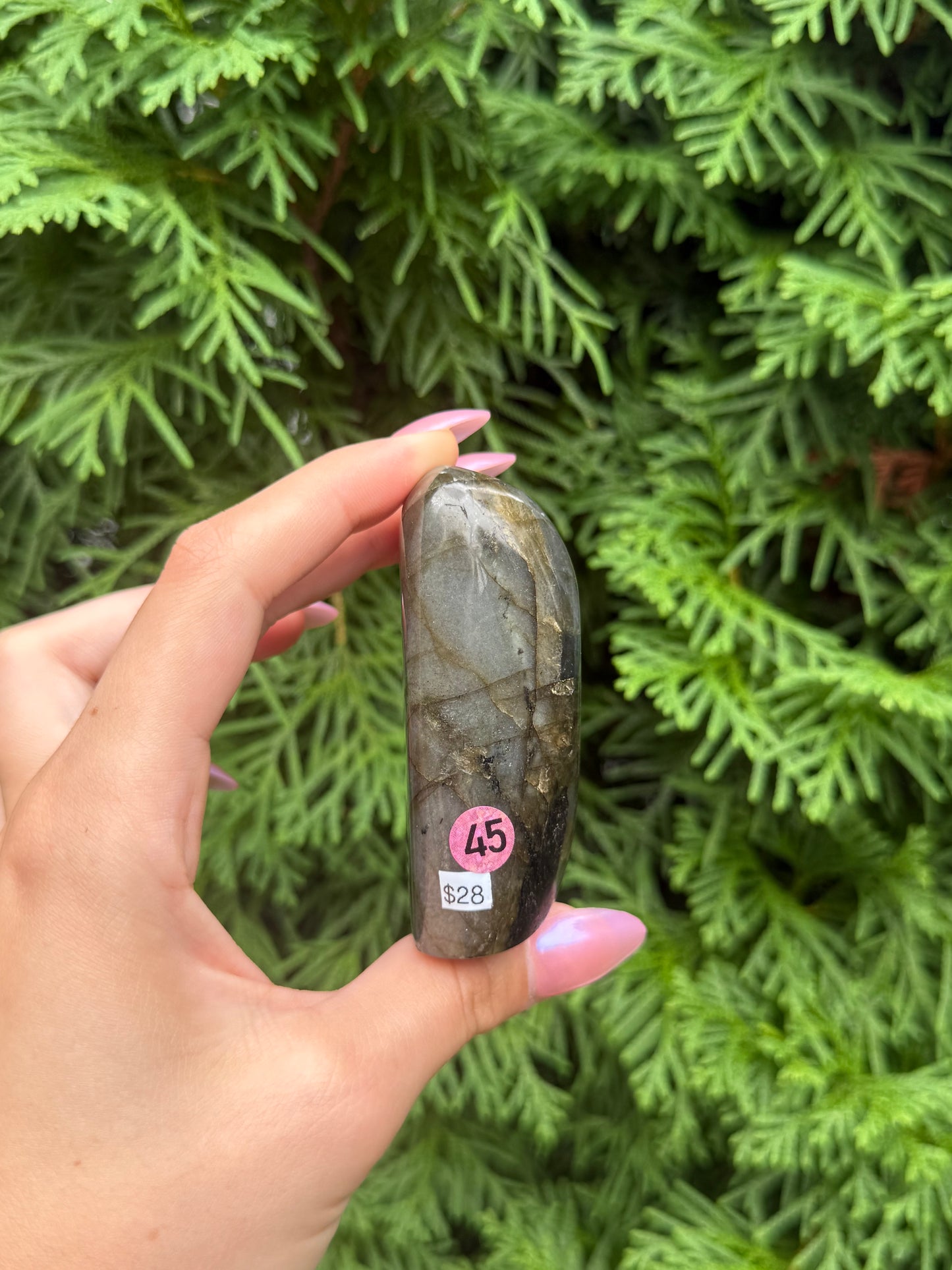 Labradorite Freeform (Opt 45)