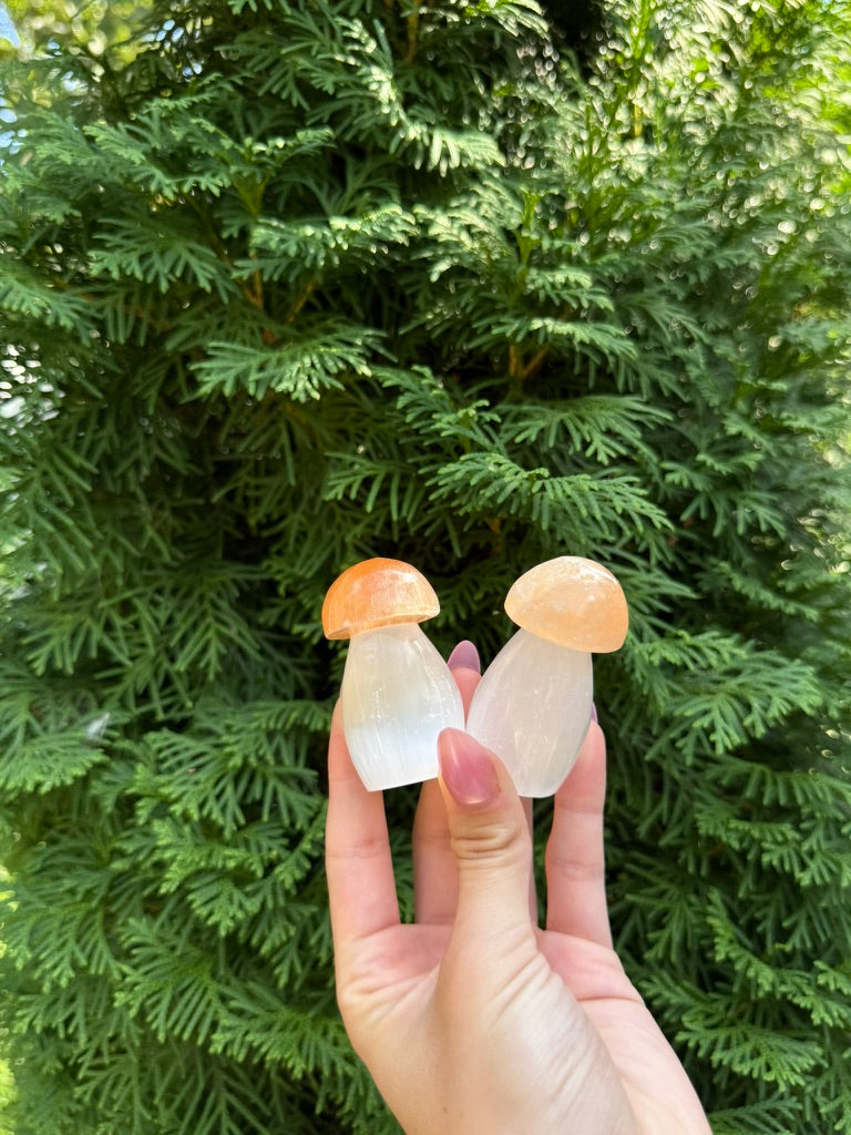 One Selenite Mushroom