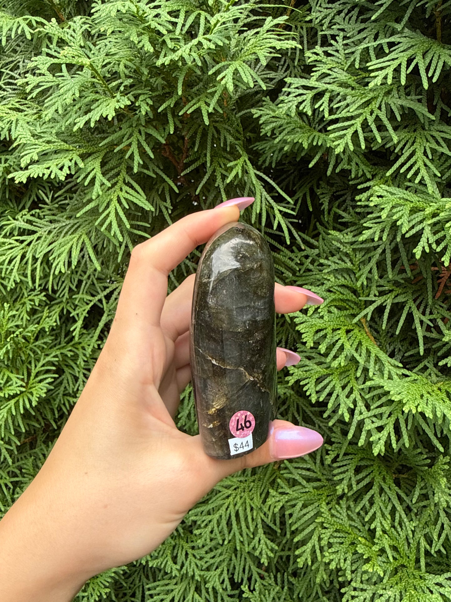 Labradorite Freeform (Opt 46)