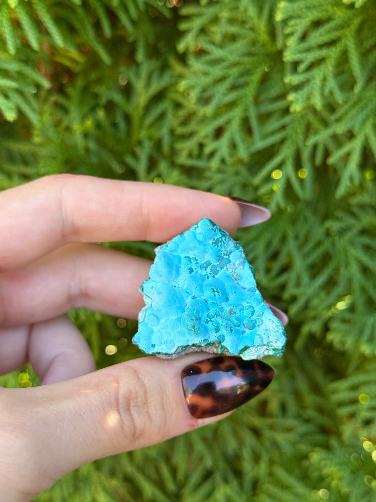 Chrysocolla & Malachite Raw Specimen (Opt 18)