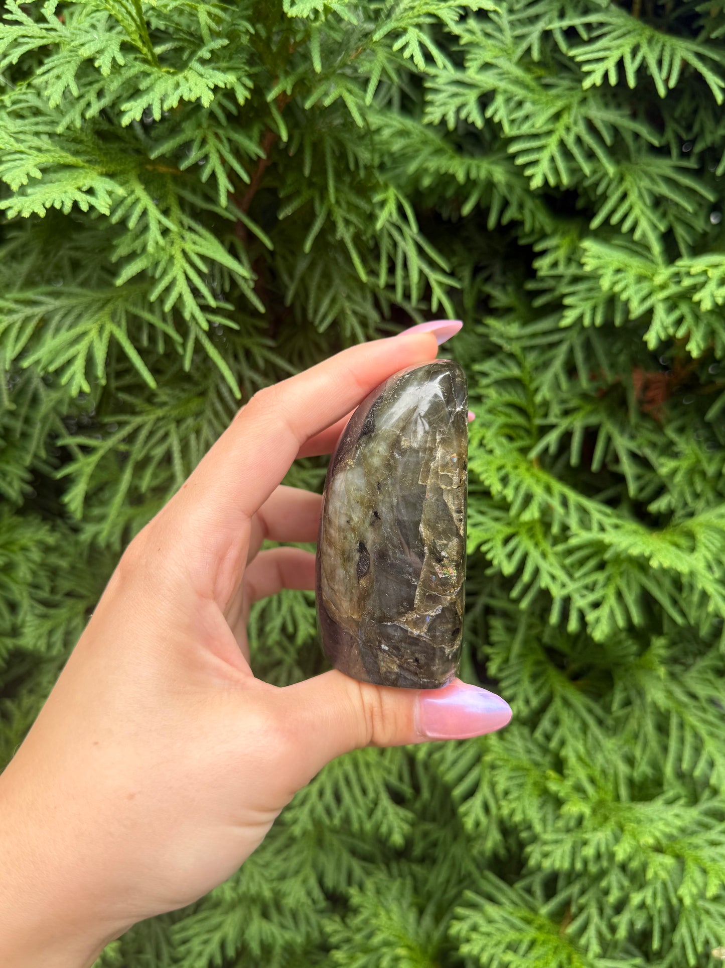 Labradorite Freeform (Opt 43)