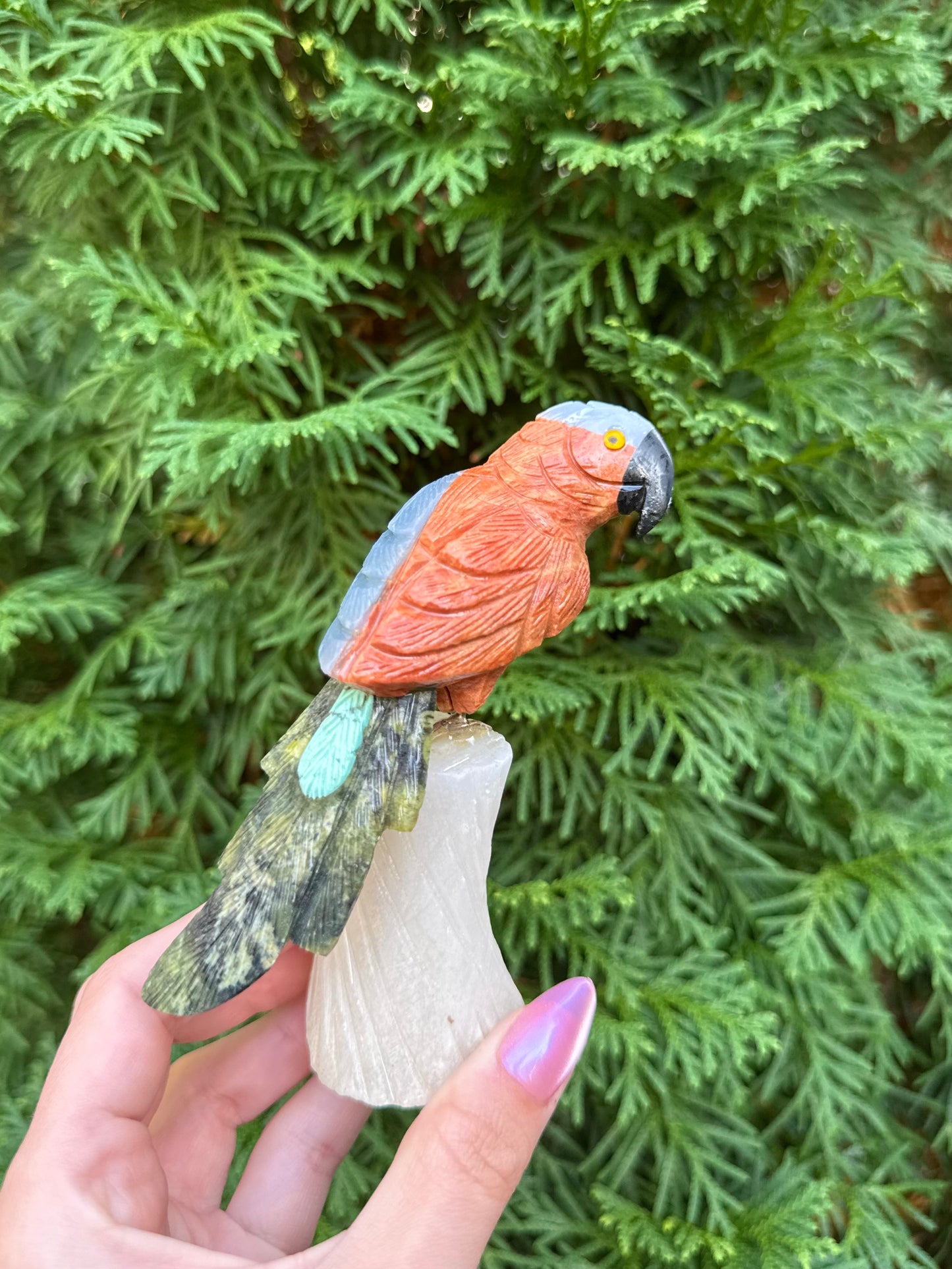 Parrot Bird Carving