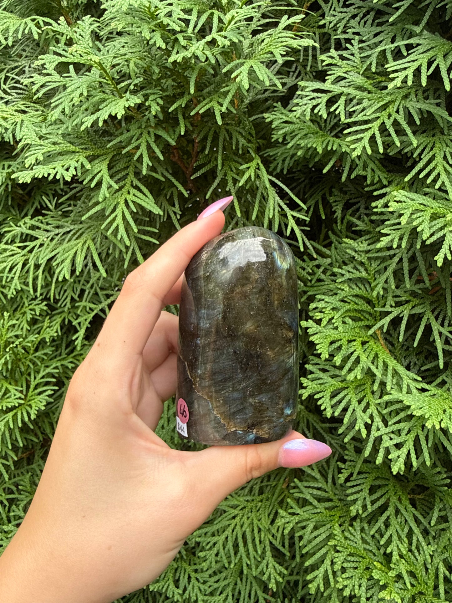 Labradorite Freeform (Opt 46)
