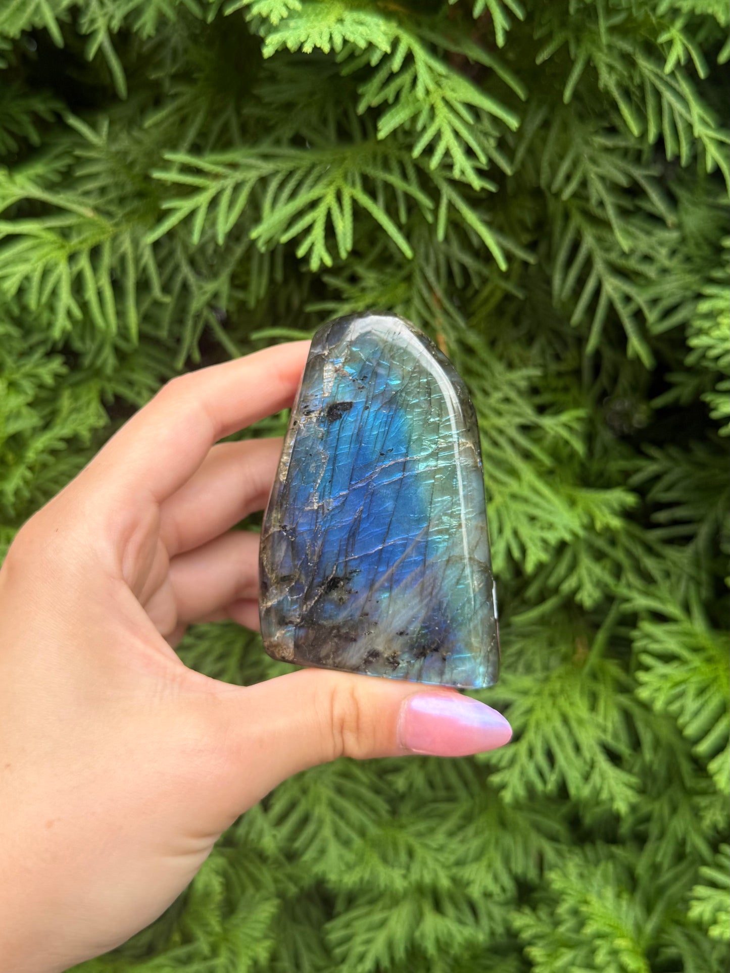 Labradorite Freeform (Opt 43)