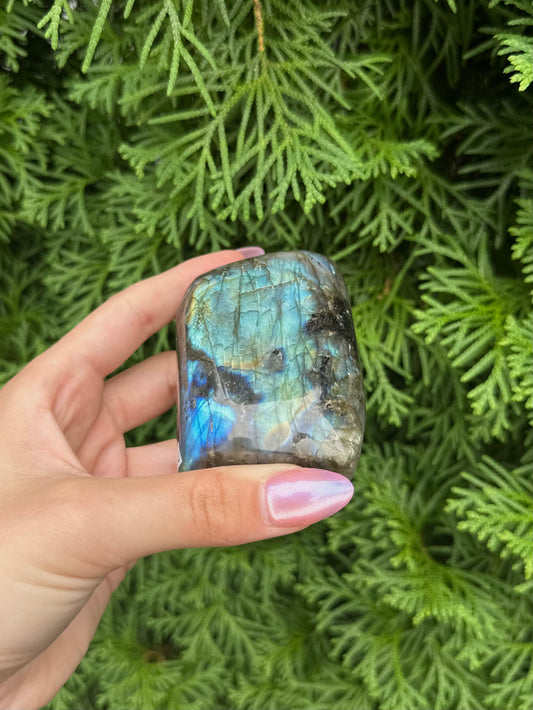 Labradorite Freeform (Opt 48)
