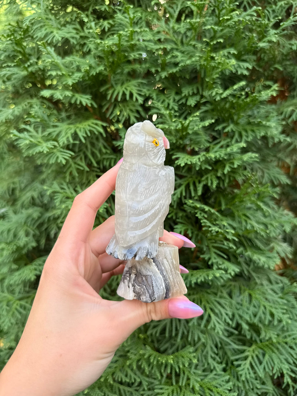 Owl Bird Carving