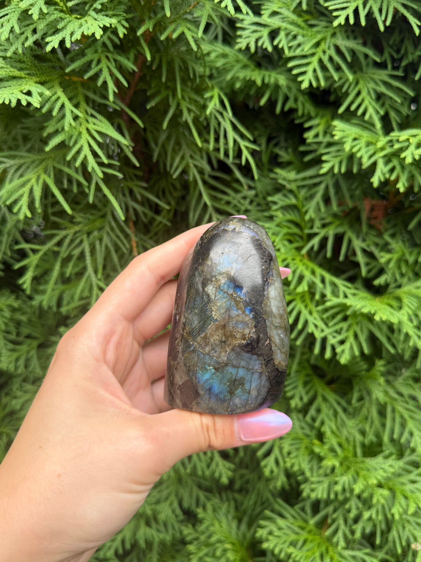 Labradorite Freeform (Opt 43)