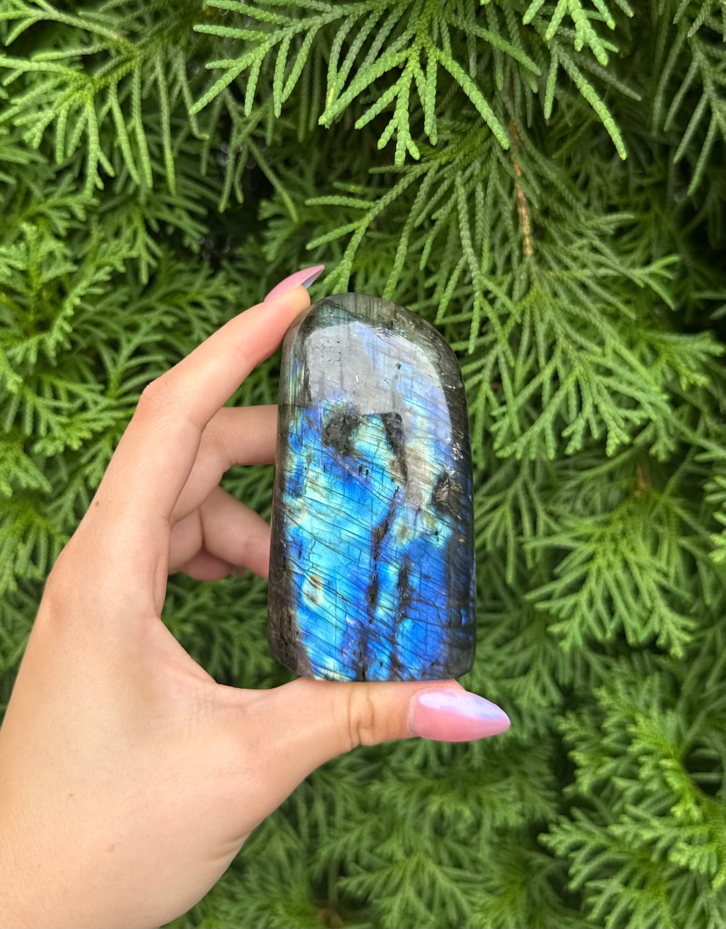 Labradorite Freeform (Opt 46)