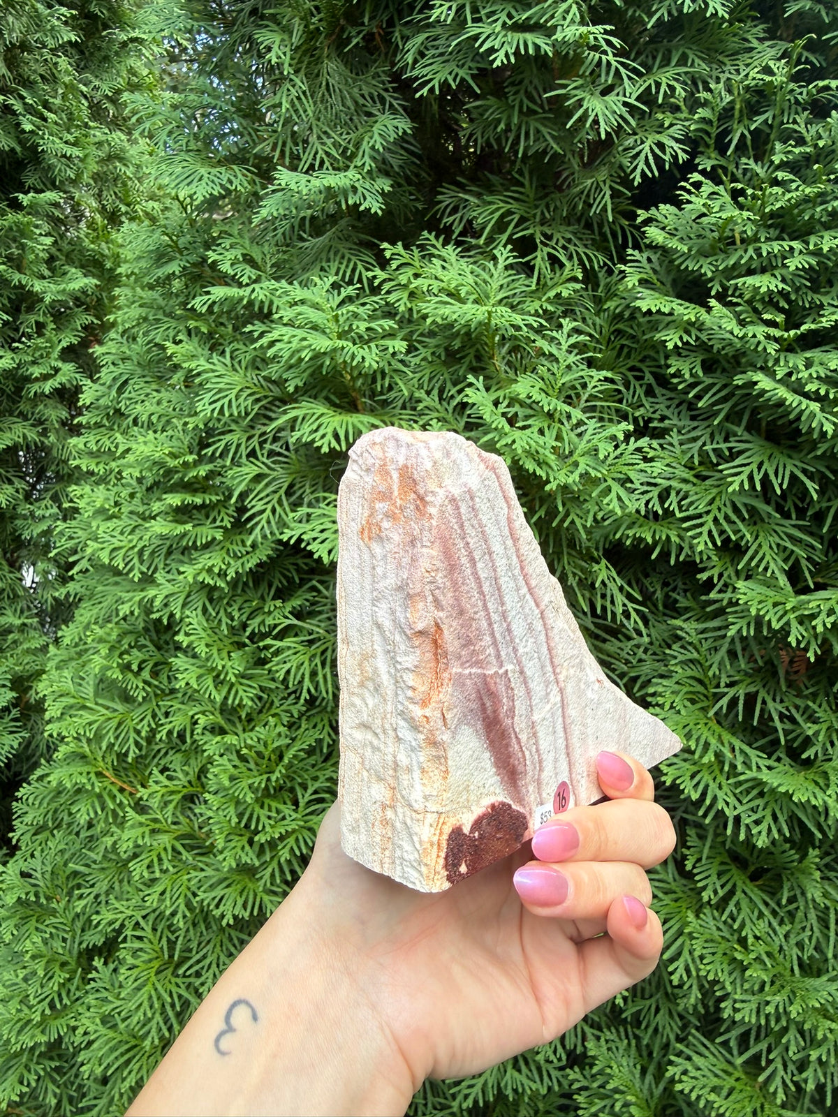 Rainbow Rhyolite Raw Slab (Opt 16)
