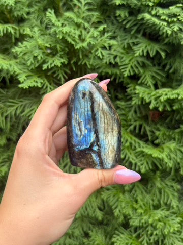 Labradorite Freeform (Opt 44)