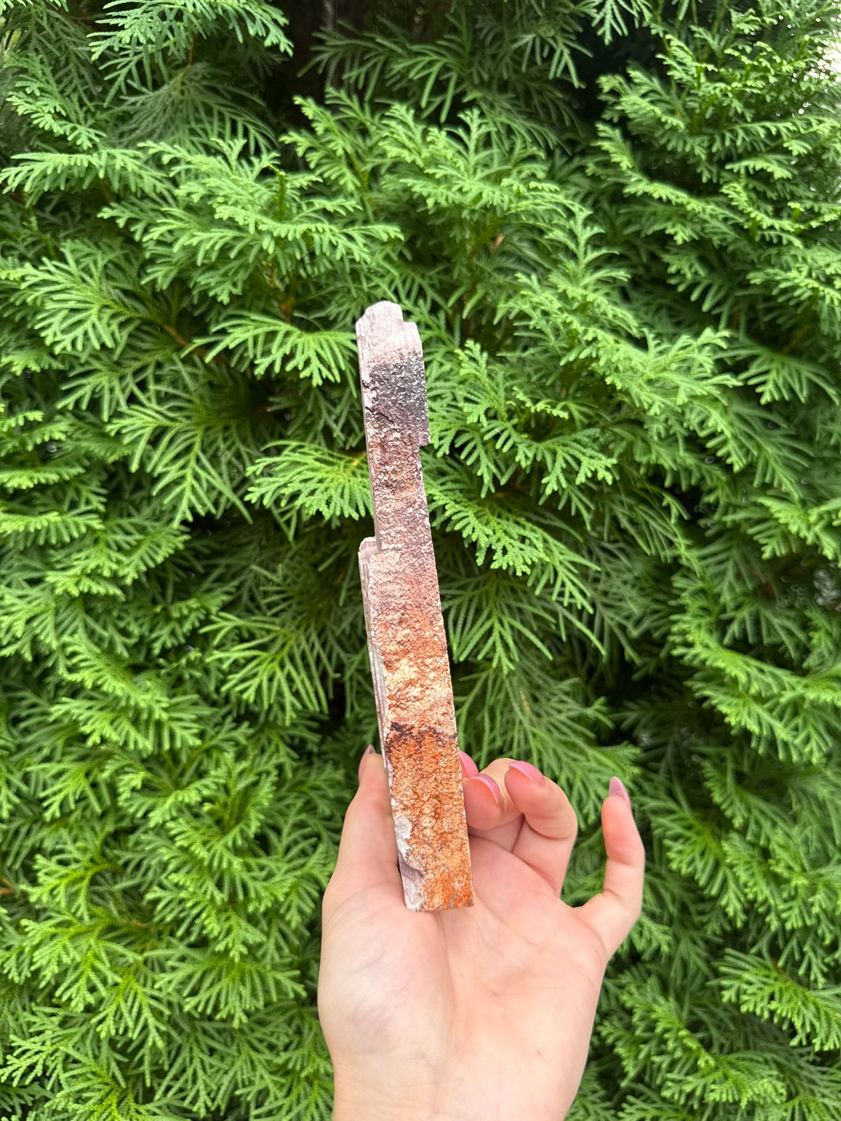 Rainbow Rhyolite Raw Slab (Opt 18)