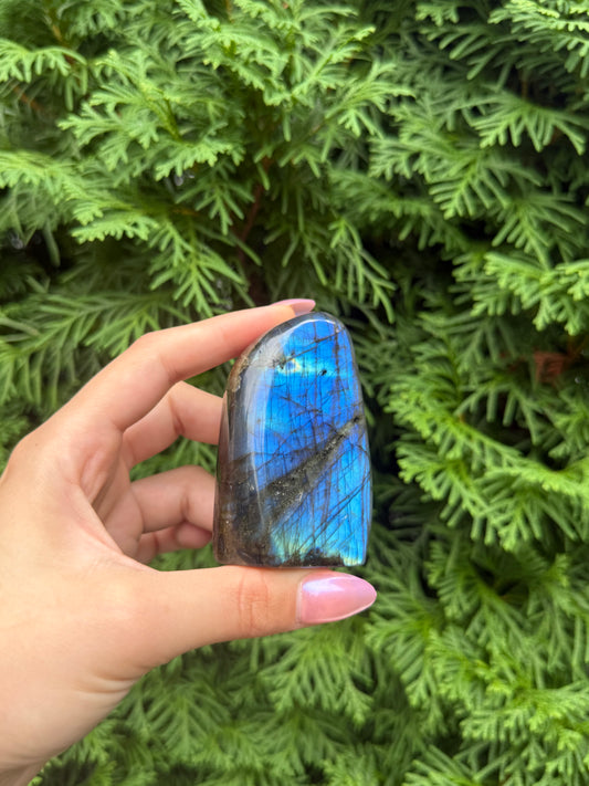 Labradorite Freeform (Opt 45)