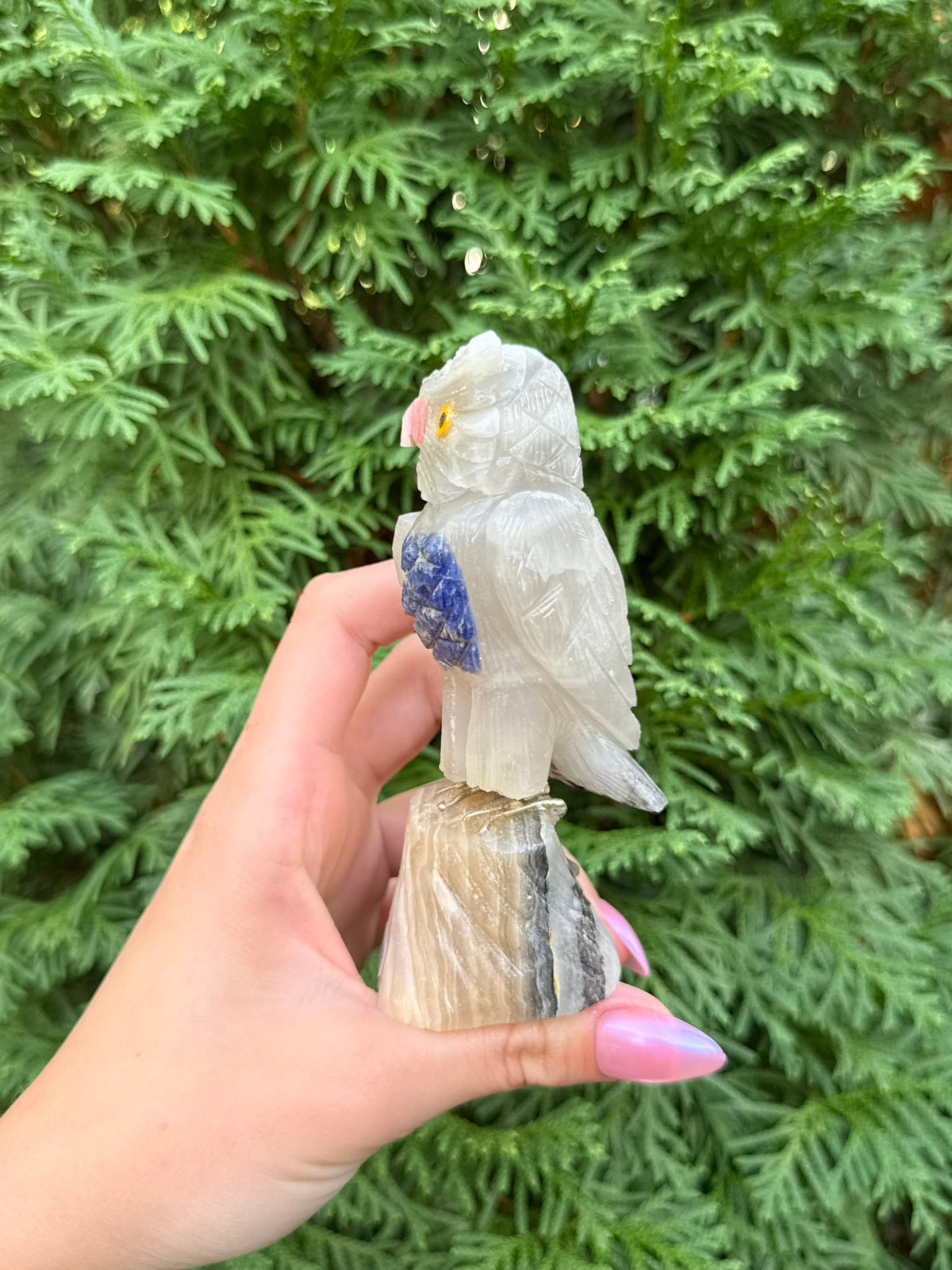 Owl Bird Carving
