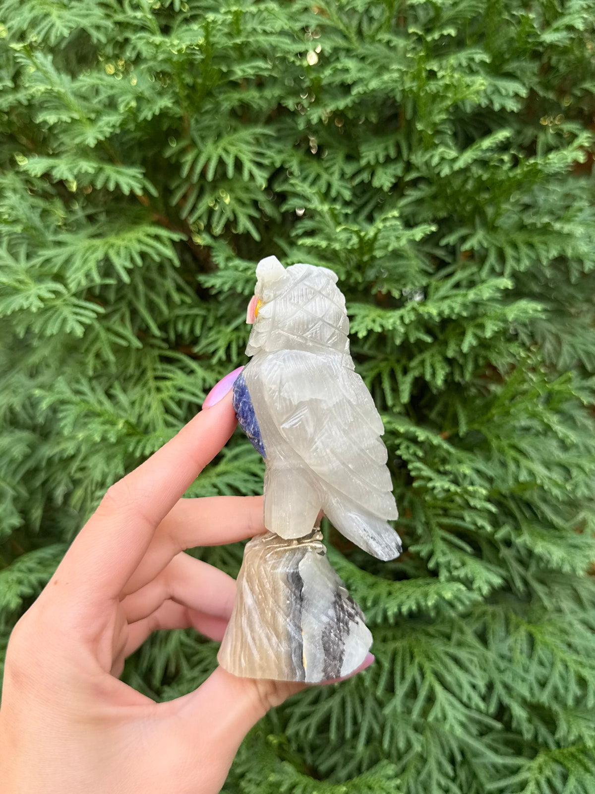 Owl Bird Carving
