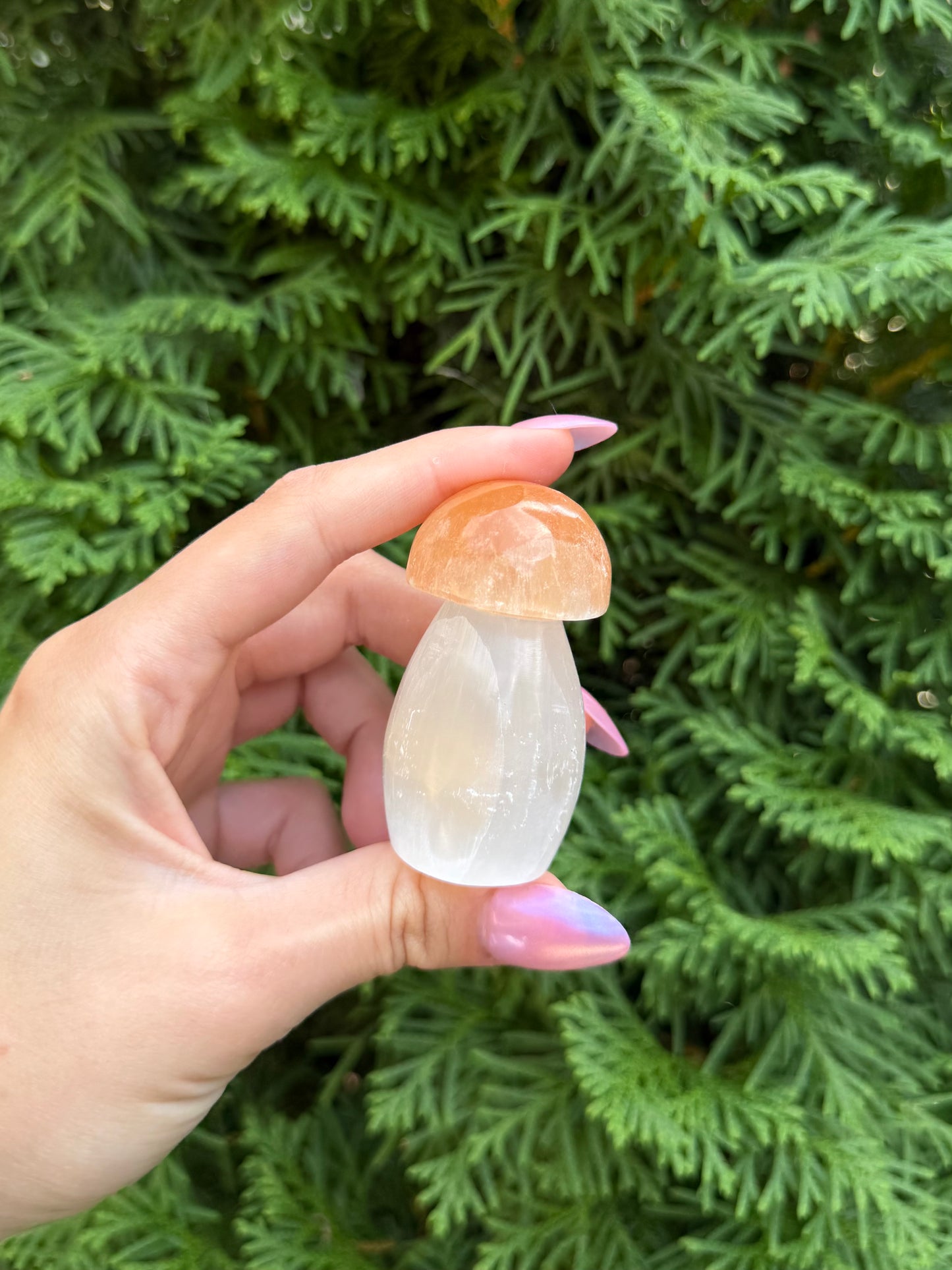 One Selenite Mushroom
