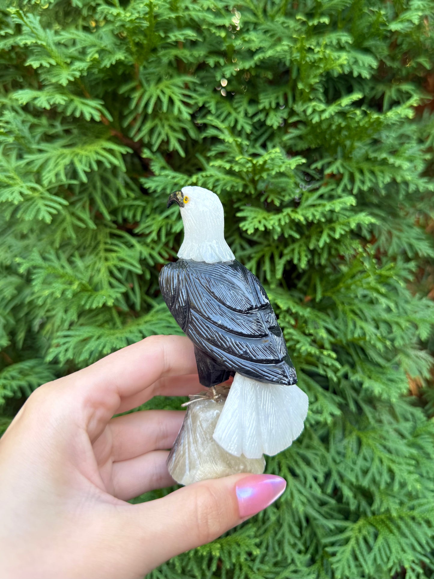 Eagle Bird Carving