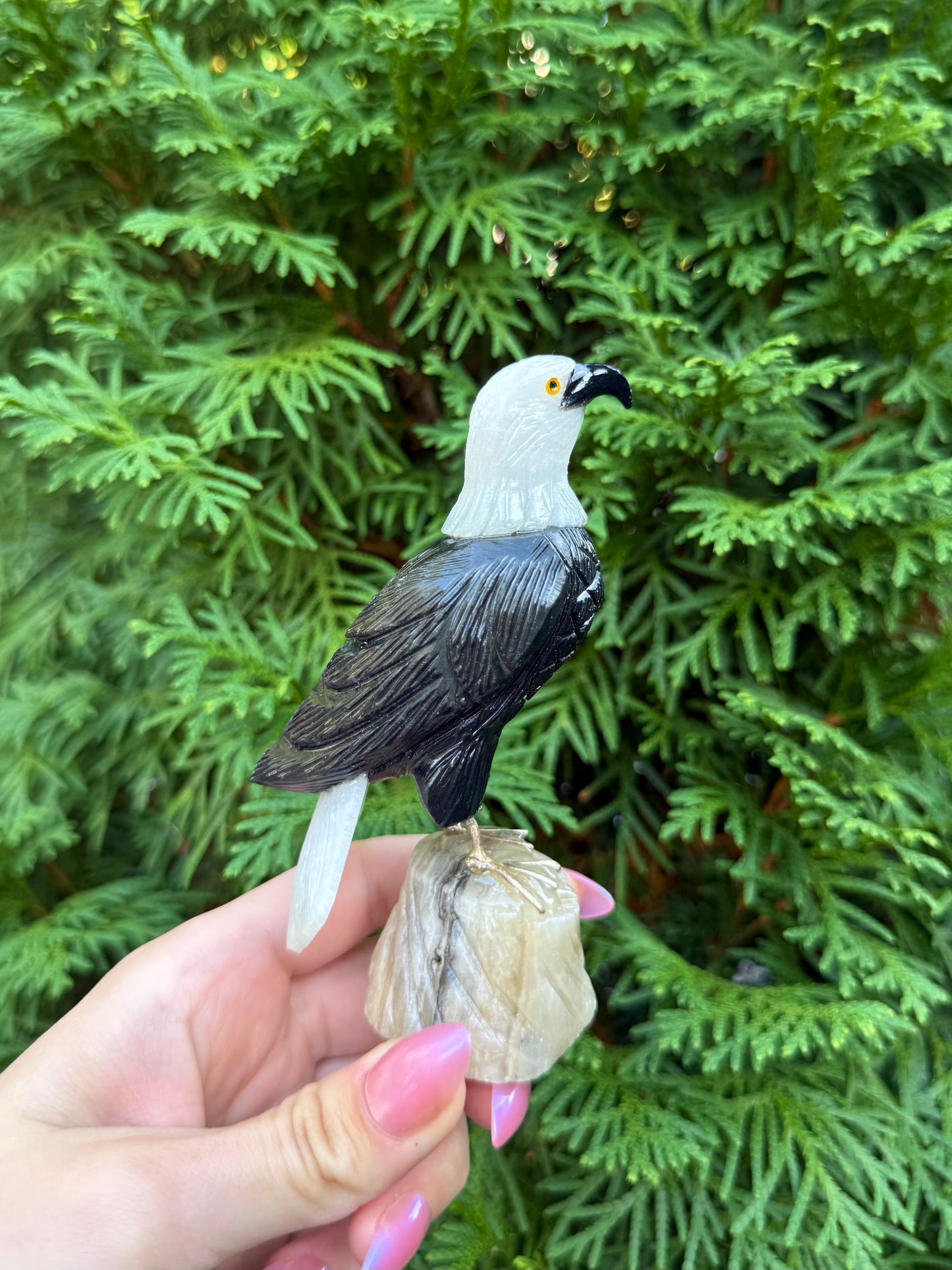 Eagle Bird Carving