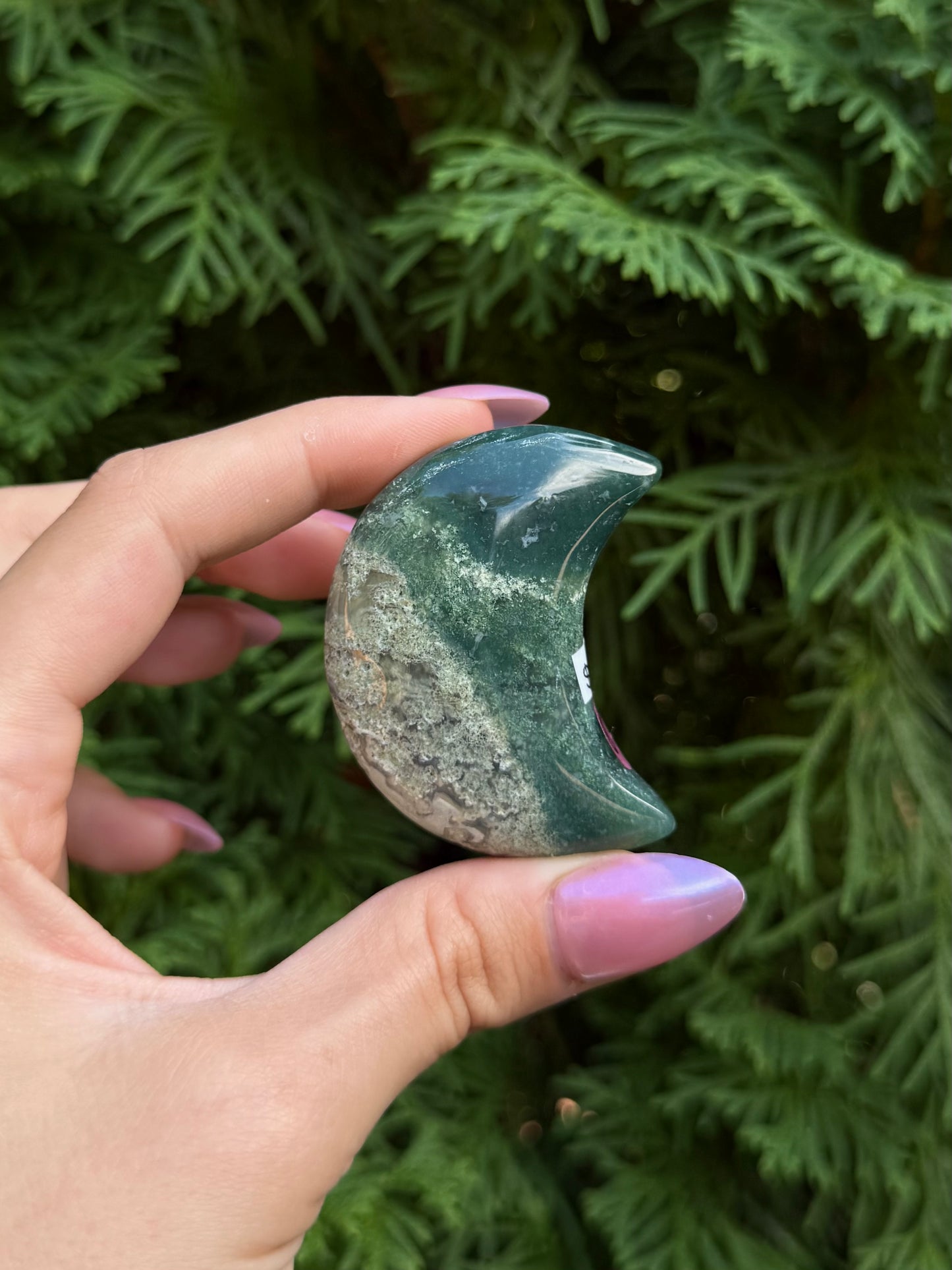 Moss Agate Mini Moon (Opt 87)