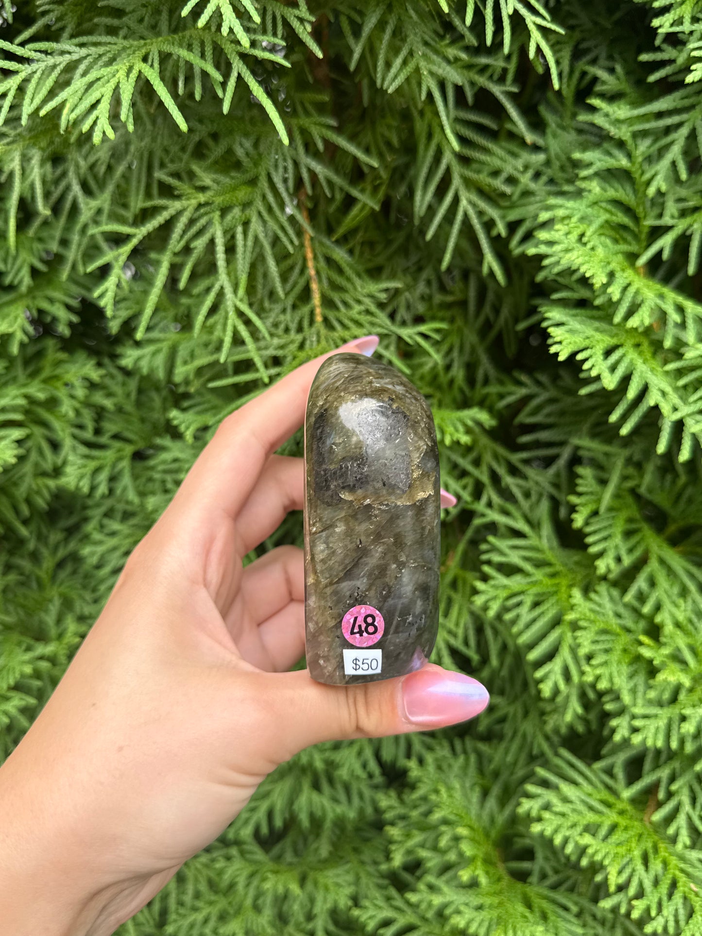 Labradorite Freeform (Opt 48)