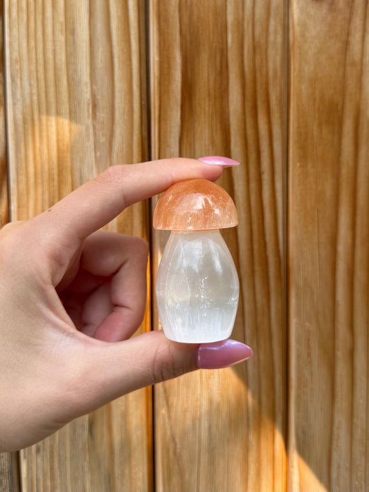 One Selenite Mushroom