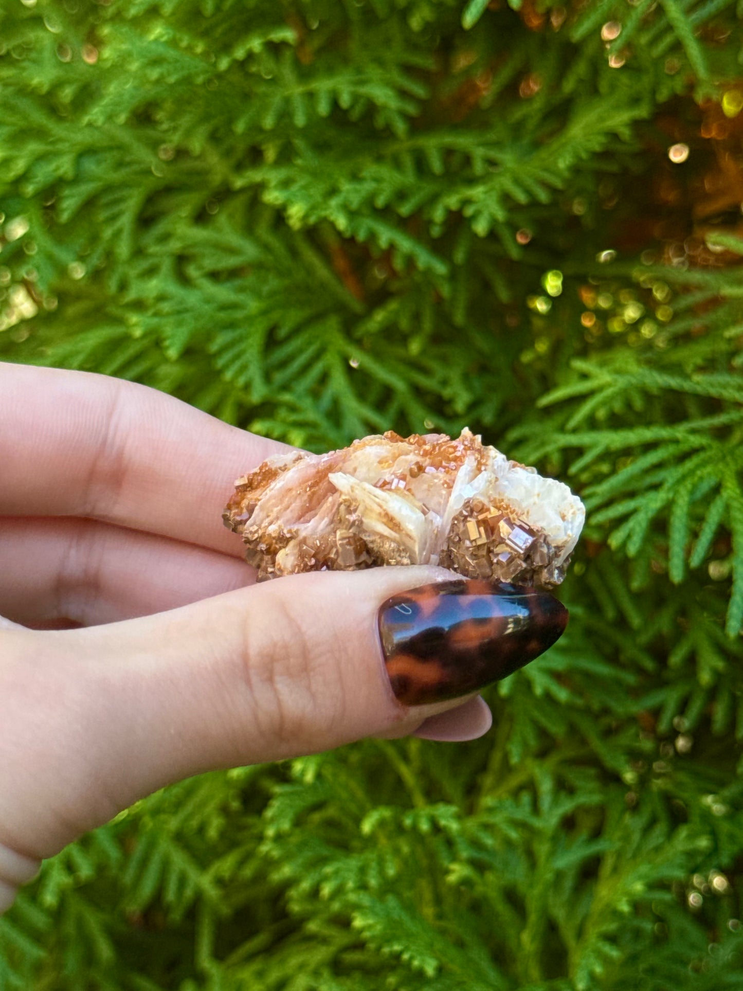 Vanadinite on Barite Specimen